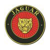 Jaguar Portfolio